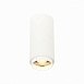 Светильник потолочный Zoom Белый LED 1*10W 3000K 1 000Lm Ra>80 15-60° IP20 D59xH130 170 ST600.532.10 - фото