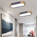 Потолочный Светильник Linn L65 Grey Imperiumloft 193590-26 - фото