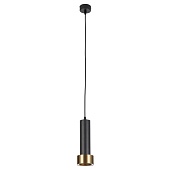 Подвесной светильник Arte Lamp RAN A3147SP-1BK