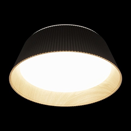 10224 Black Потолочный светильник LOFT IT Evans - фото