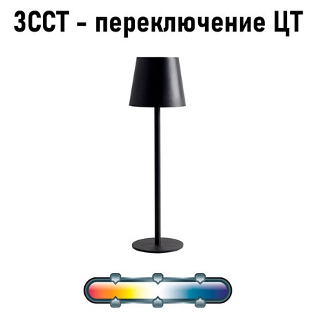 Уличный настольный светильник Arte Lamp FUYUE A1614LT-1BK - фото