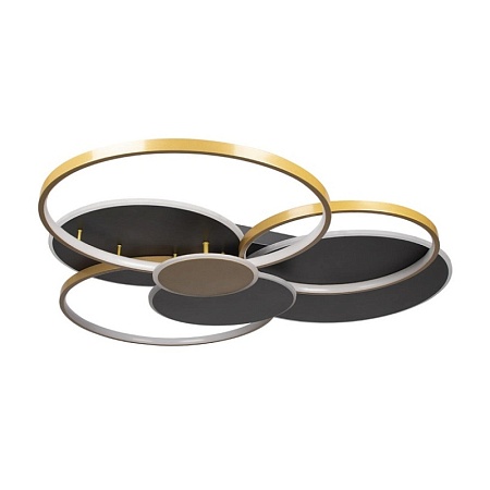 10163 Black Потолочный светильник LOFT IT Megan - фото