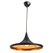 Подвесной светильник Arte Lamp CAPPELLO A3406SP-1BK - фото