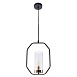 Подвесной светильник Arte Lamp CELAENO A7004SP-1BK - фото