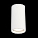 Светильник потолочный Белый LED 1*15W 4000K 1 200Lm Ra>90 60° IP44 D75xH140 220-265V ST157.542.15 - фото