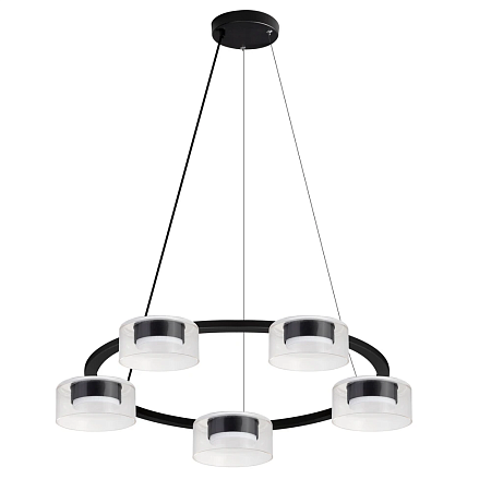 Подвесная люстра Arte Lamp ALIUS A8042SP-5BK - фото