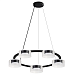Подвесная люстра Arte Lamp ALIUS A8042SP-5BK - фото