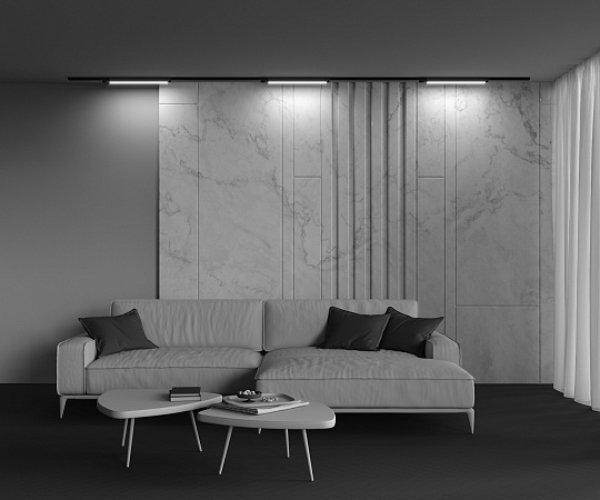 Трековый светильник Technical BASIS TR000-1-24W3K-B - фото