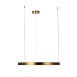 10013L Подвесной светильник LOFT IT Ring - фото