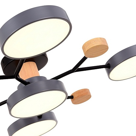 Светильник потолочный Серый/Серый LED 5*12W 3000K/4500K/6000K SLE6006-702-05 - фото