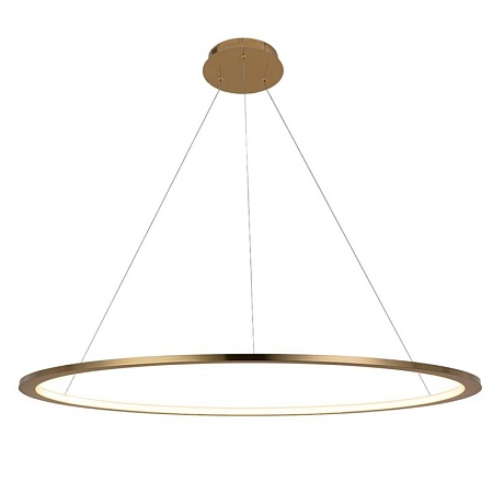 10014XL Подвесной светильник LOFT IT Ring - фото