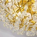Потолочная люстра Favourite 4162-10C - фото