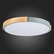 Светильник потолочный Серый, Светлое дерево/Белый LED 1*40W 3000K/4000K/6000K SLE201372-01 - фото