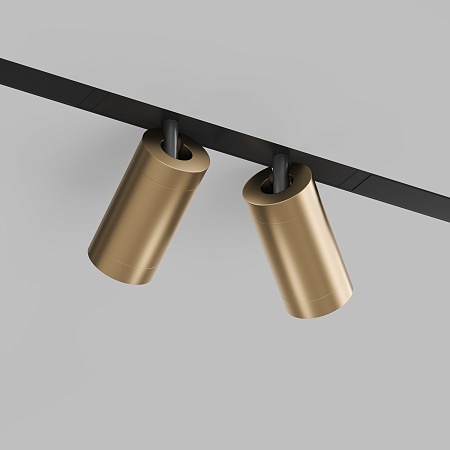 Светильник на шине Denkirs SMART SPOT DK8012-BG - фото