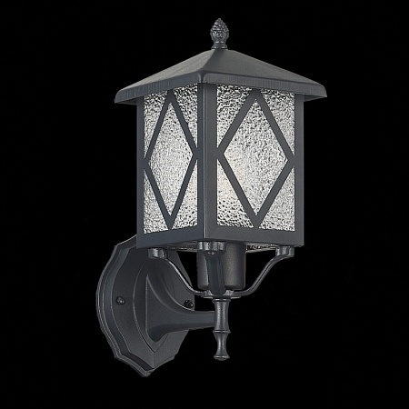 Светильник уличный настенный ST-Luce Черный/Черный, Прозрачный E27 1*60W SL084.401.01 - фото
