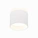 Светильник потолочный Белый LED 1*9W 4000K 702Lm Ra>80 120° IP20 D79xH75 170-240V ST102.542.09 - фото
