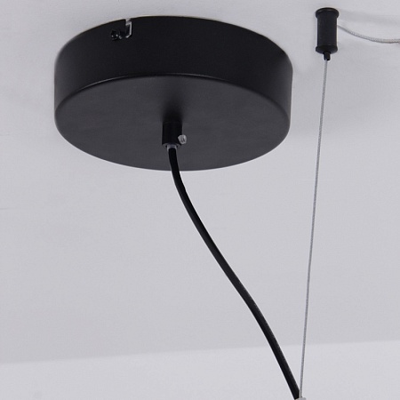 Подвесная люстра Favourite 4569-2P - фото