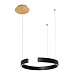 10025/400 Black Подвесной светильник LOFT IT Ring - фото