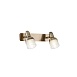 Спот Freya Arlette FR7003WL-02BZ - фото