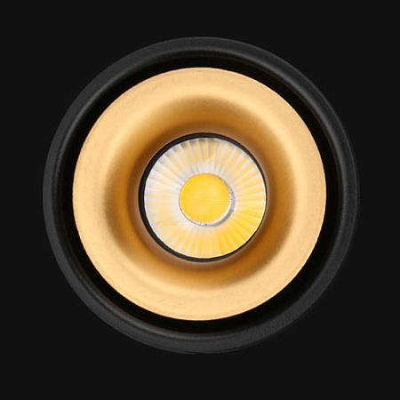 Потолочный Светильник Agenda Black+Gold 10W Imperiumloft 191830-26 - фото
