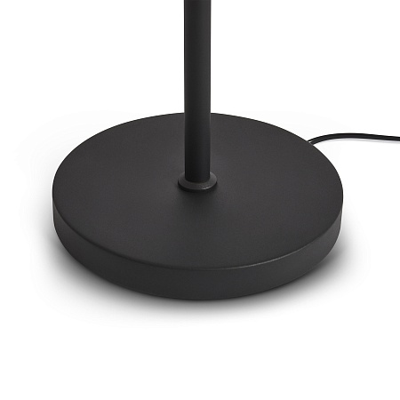 Напольный светильник (торшер) Freya FR5553FL-L20B - фото