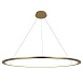 10014XXL Подвесной светильник LOFT IT Ring - фото