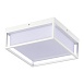 Светильник уличный потолочный ST-Luce белый/белый LED 1*20W 3000K/4000K/5000K SL9517.502.01 - фото