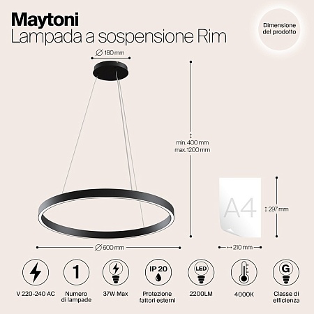 Подвесной светильник Maytoni Rim MOD058PL-L32B4K - фото