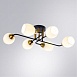 Потолочная люстра ARTE LAMP A8141PL-6BK - фото