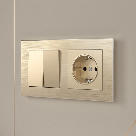 Розетка с заземлением шампань WL11-SKG-01-IP20 - фото