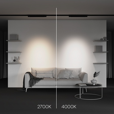 Трековый светильник Technical Points  TR195-3-20W4K-M-B - фото