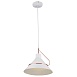 Подвесной светильник Freya Amis FR5025PL-01W - фото