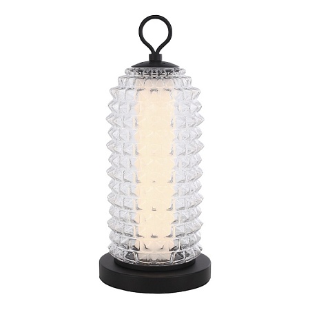 Прикроватная лампа ST-Luce черный/прозрачный LED 1*12W 4000K SL6144.404.01 - фото