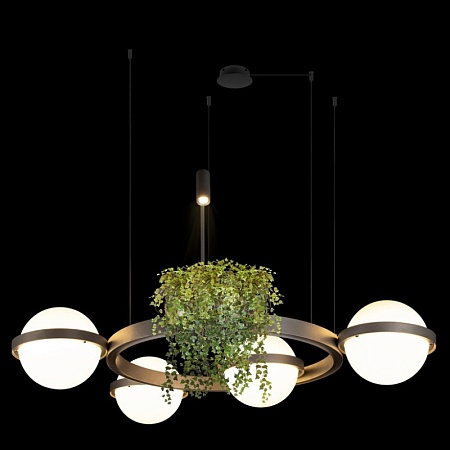 10121/4 Dark grey Подвесной светильник LOFT IT Jardin - фото