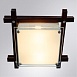 Потолочный светильник Arte Lamp ARCHIMEDE A6462PL-2CK - фото