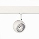 Магнитный трековый светильник Белый LED 1*10W 3000K 470Lm Ra>80 36° IP20 L120xW50xH176 ST355.536.10 - фото