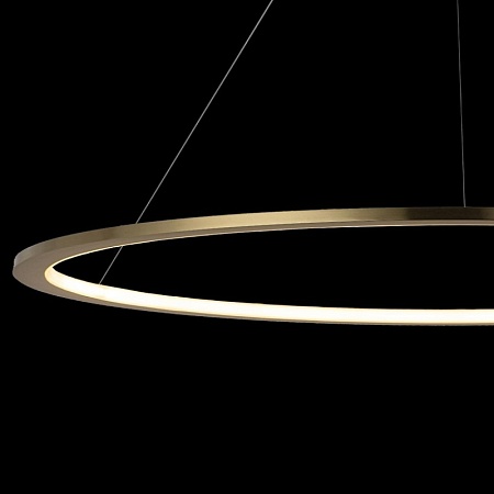 10014XXL Подвесной светильник LOFT IT Ring - фото