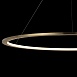 10014XXL Подвесной светильник LOFT IT Ring - фото