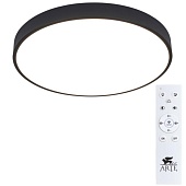 Потолочный светильник Arte Lamp ARENA A2672PL-1BK