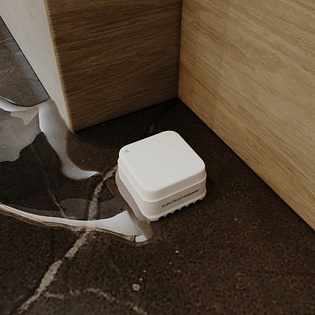 Умный датчик протечки воды 76220/00 Elektrostandard - фото