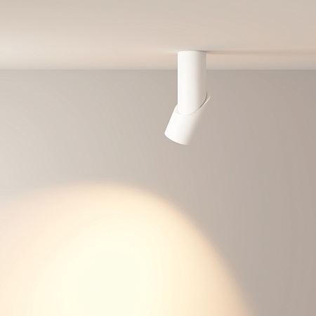 Потолочный светильник Technical Dafne C027CL-L10W - фото