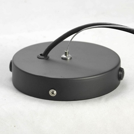 Люстра подвесная   подвесной светильник Lussole NEW ROCHELLE LSP-9922 - фото