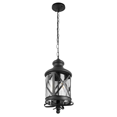 100020P Уличный подвесной светильник LOFT IT Ferrara - фото