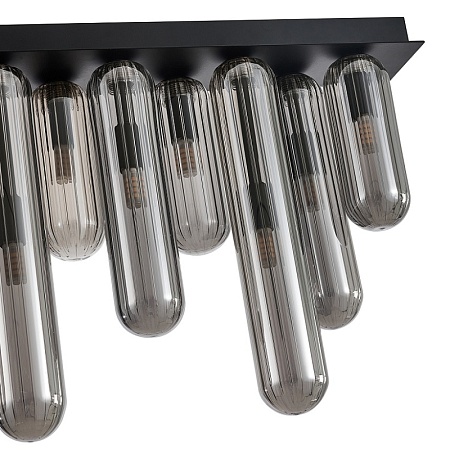 Потолочный светильник Favourite 4454-12P - фото