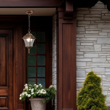 Светильник уличный подвесной ST-Luce Бронза/Бронза, Прозрачный E27 1*60W SL082.203.01 - фото