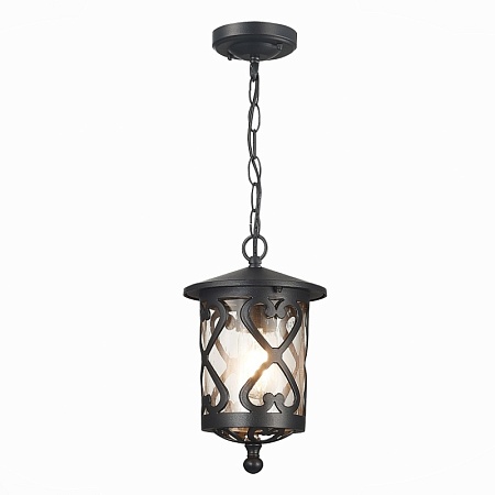 Светильник уличный подвесной ST-Luce Черный/Черный, Прозрачный E27 1*60W SL085.403.01 - фото