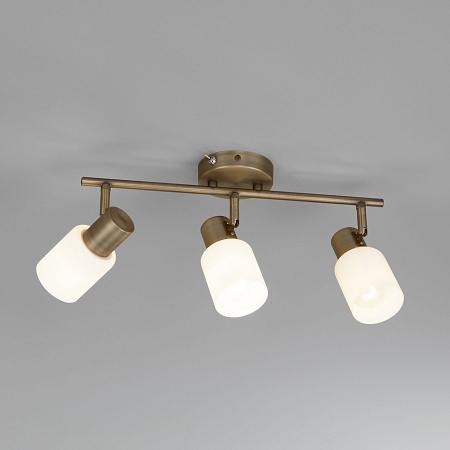 Настенный светильник Eurosvet 20089/3 бронза - фото