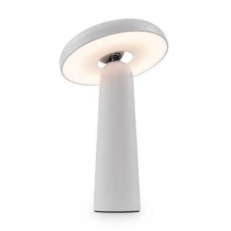 Аккумуляторный светильник Freya FR6109TL-L4W - фото