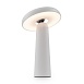 Аккумуляторный светильник Freya FR6109TL-L4W - фото