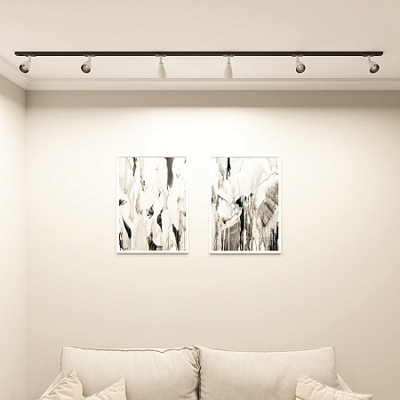 Светильник на шине Denkirs BELL DK6050-BW+BK - фото